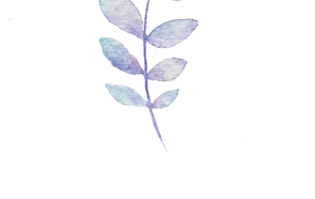 水彩海草