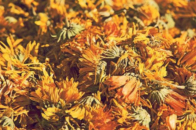 广告清新蒲公英茶背景图片
