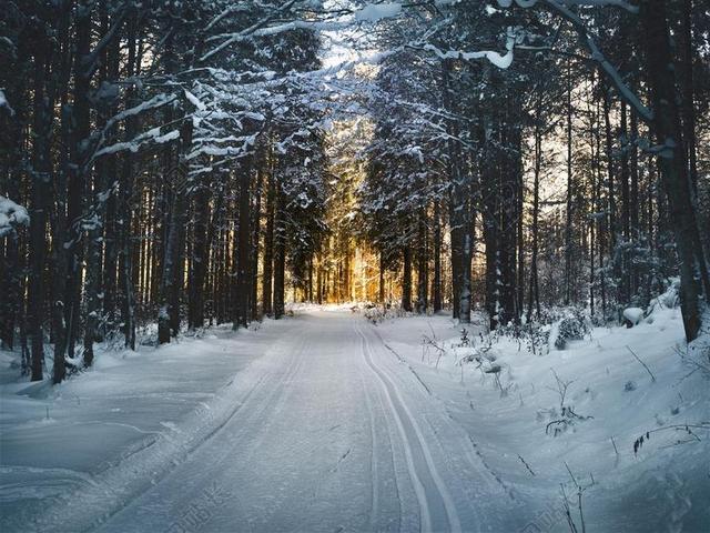 旅游自然黄昏越野滑雪背景图片