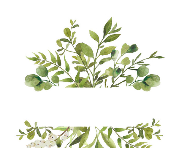 绿叶边框