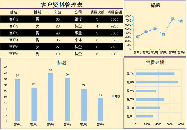 客户资料信息管理表行政档案统计表