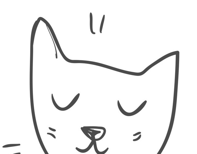 猫脸