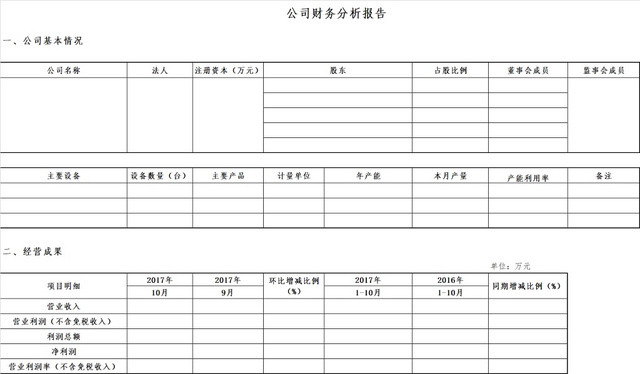 黑白简约公司财务报表财务分析报告