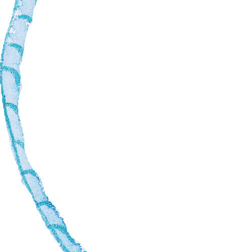 绳子