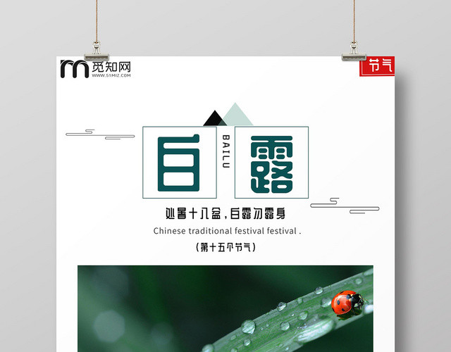 绿色传统简约二十四节气八月初十白露绿叶宣传海报