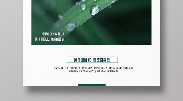绿色传统简约二十四节气八月初十白露绿叶宣传海报