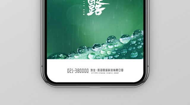 绿色自然二十四节气八月初十白露绿叶宣传海报