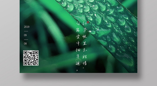 绿叶露珠清爽清新白露二十四节气海报