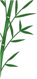 手绘水彩竹子素材