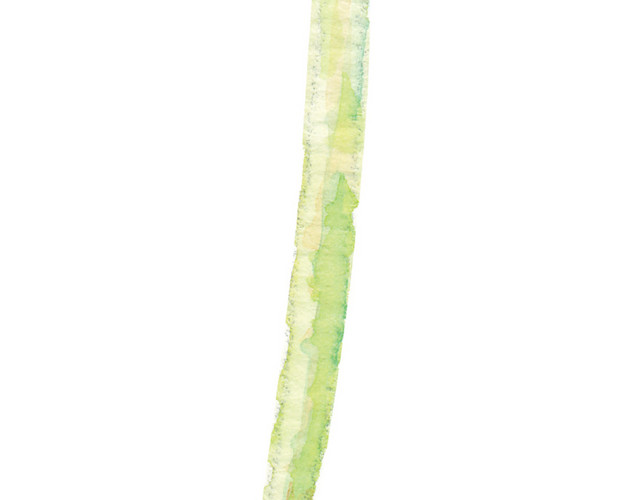 红色手绘卡通樱桃免抠素材
