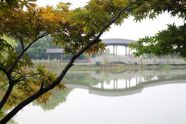 风景 桥 湖 重庆 拱形桥廊