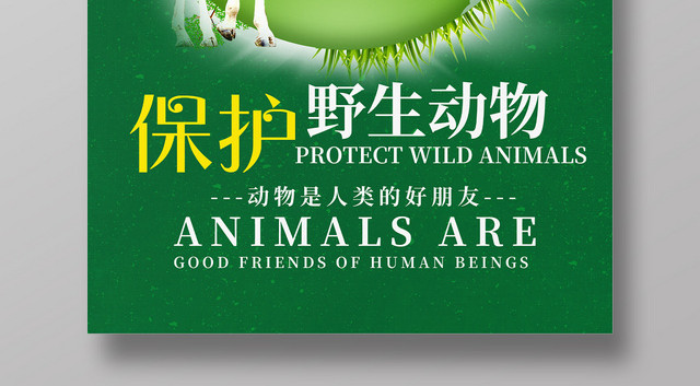 绿色简约保护野生动物公益宣传海报