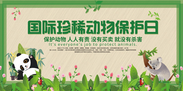 绿色简约国际珍稀动物保护日保护懂得感悟公益展板设计