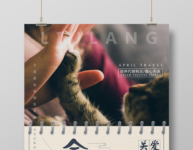 流浪猫狗关爱小动物爱心公益海报
