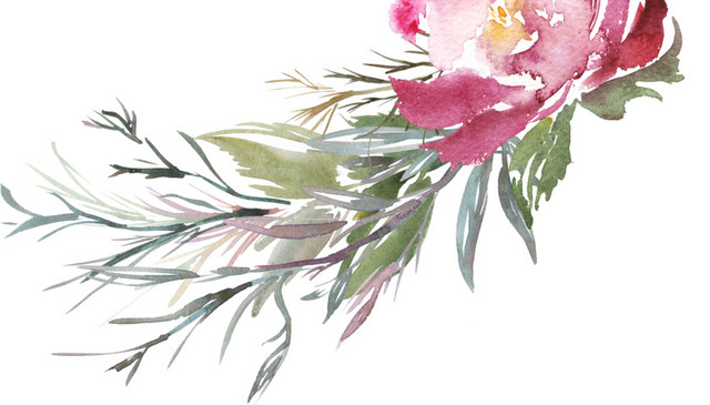 一枝花免抠素材