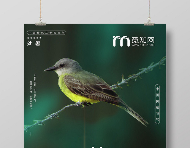 绿色二十四节气处暑传统文化宣传海报