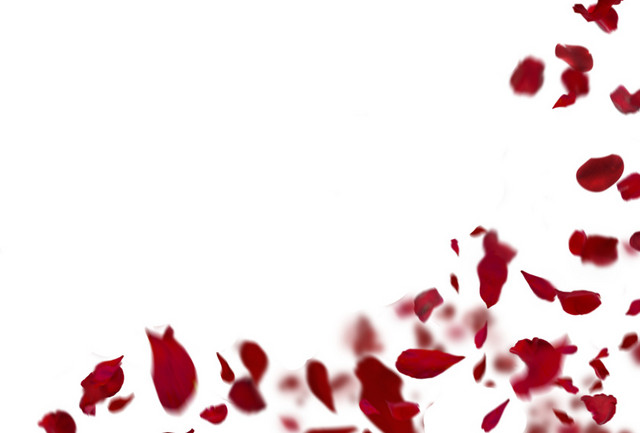 鲜花花瓣