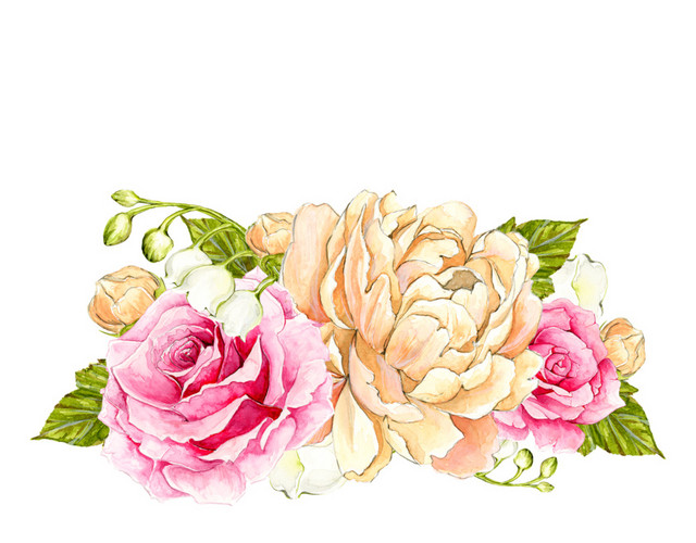 欧式水彩月季玫瑰花素材