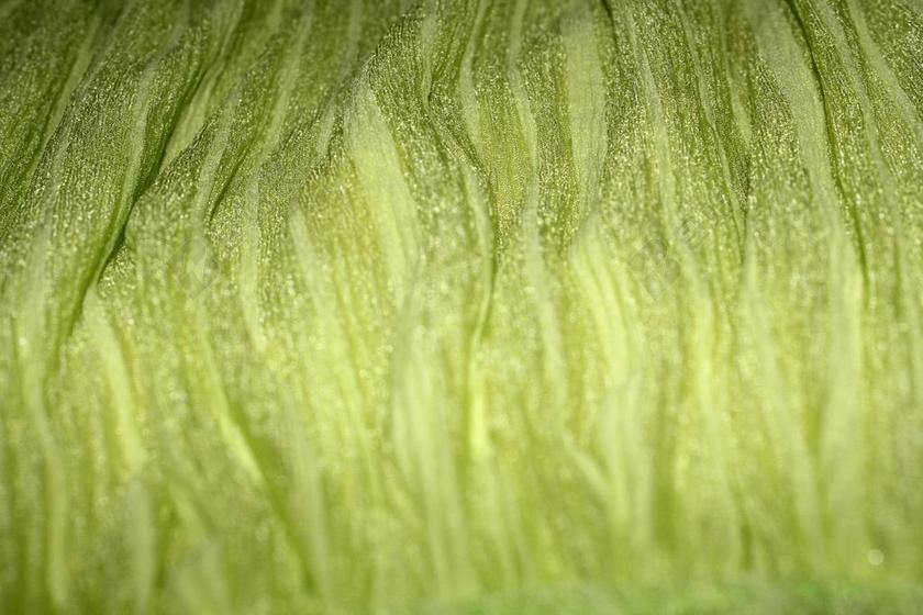 绿色条纹背景 绿色条纹 背景 绿色 条纹背景 绿色背景 条纹