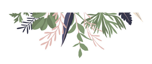 花卉边框素材