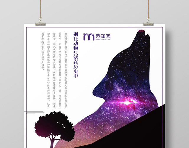 黑白星空狼保护野生动物大自然濒危动物海报