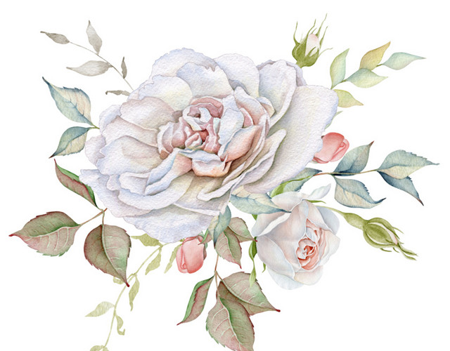 白花免抠素材