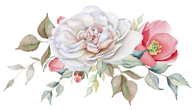 花朵免抠素材