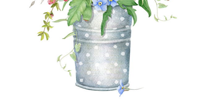 文艺清新的室内花卉
