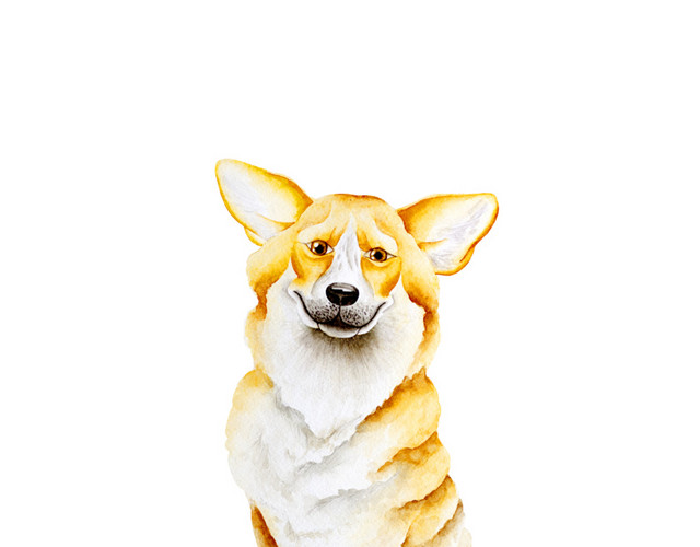 小黄狗免抠素材