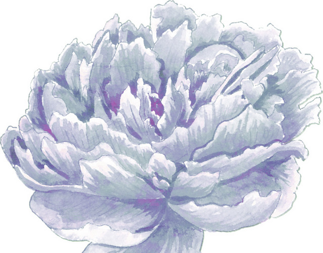 花朵免抠素材