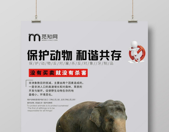 灰色经典保护动物保护动物和谐共存公益海报