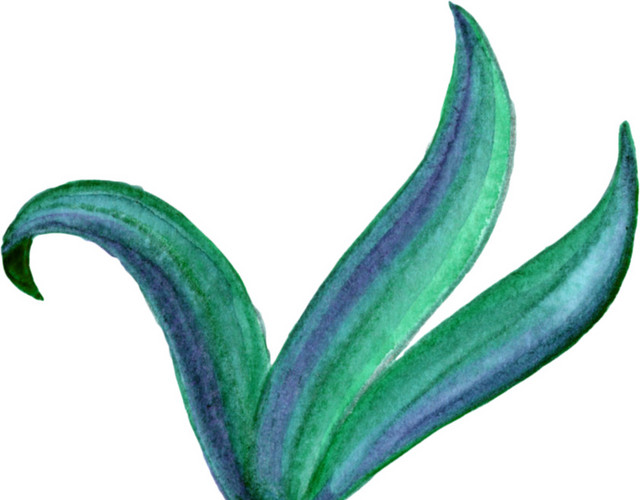 油画涂料植物叶子素材