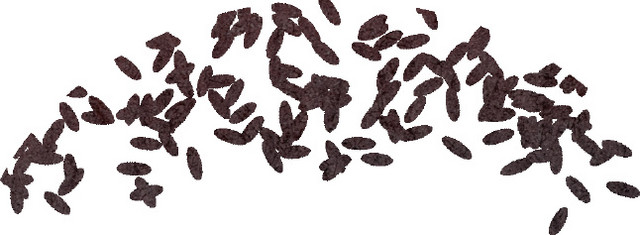 圆点拼接涂鸦艺术瓜子素材
