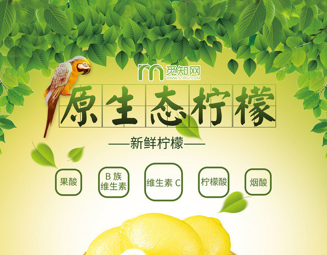 简约时尚大气黄色系水果新鲜水果果蔬新鲜柠檬柠檬宣传单