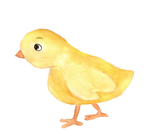 卡通小鸡素材