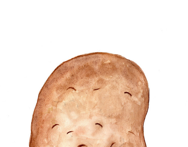 卡通土豆素材