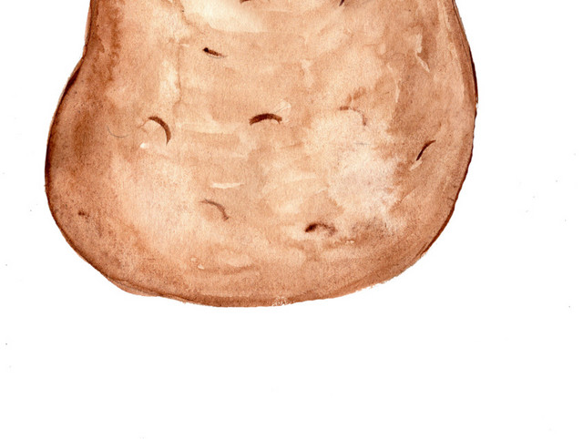 卡通土豆素材