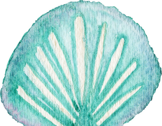 水彩色墨痕贝壳素材