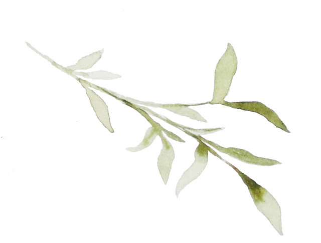 手绘水彩树叶素材