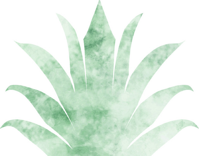 橙色纹路水果菠萝素材