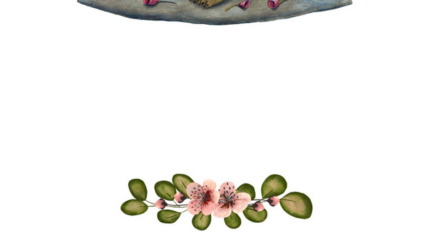卡通手绘花环乌龟素材