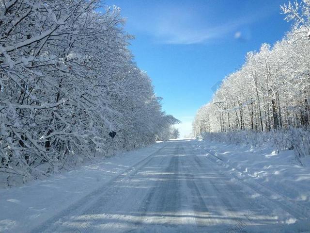 路 雪 白 冬天 季节 冷 自然 天气 冰 旅行 树