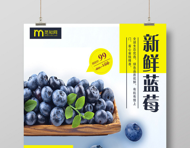 清爽新鲜蓝莓新品尝鲜水果海报