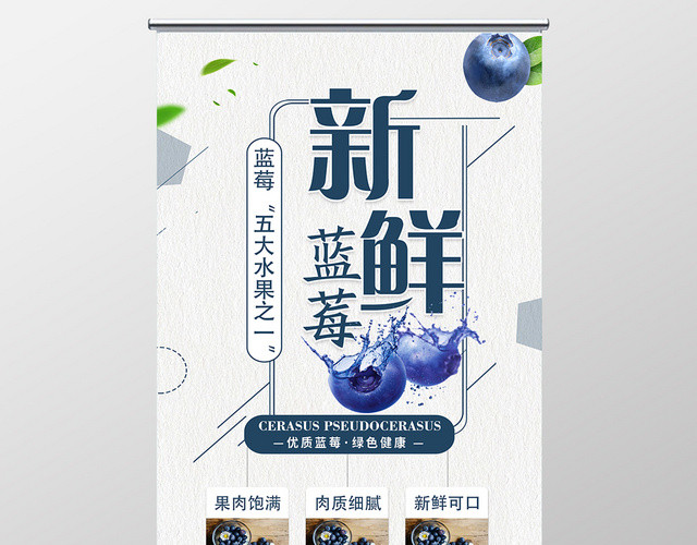 简约新鲜优质蓝莓健康水果易拉宝展架