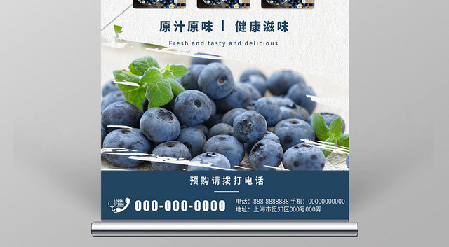 简约新鲜优质蓝莓健康水果易拉宝展架