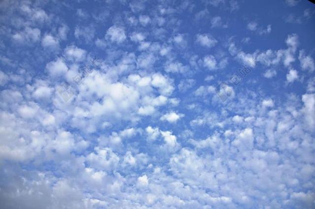 天空 云 云的天空 蓝色的天空的云彩 高积云絮状 夏季的天空