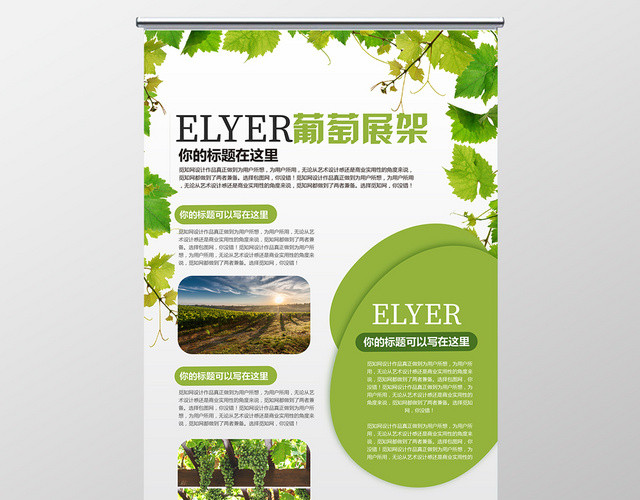 时尚简约绿色水果葡萄介绍易拉宝展架设计