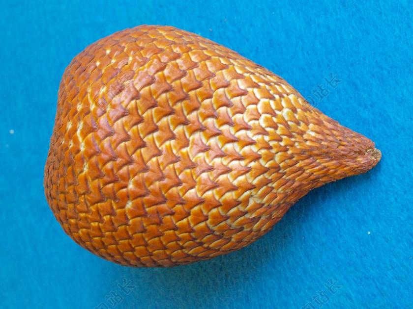 SNAKEFRUIT SALACCA 蓝靛果 蛇皮果 印度尼西亚