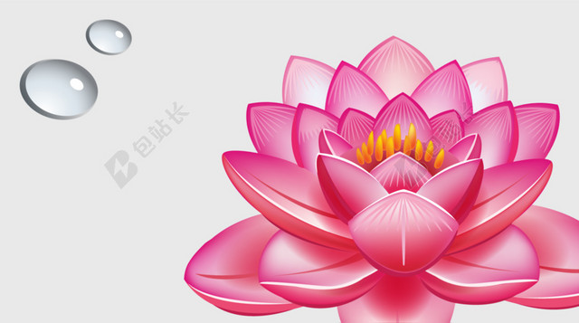 莲花背景素材