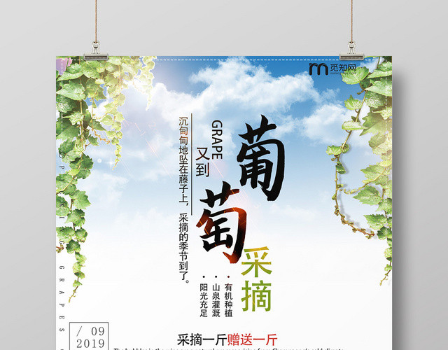 蓝色清新唯美水果葡萄海报